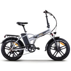 Электрический велосипед Skyjet RSIII Pro 20", серый цена и информация | SKYJET Спорт, досуг, туризм | kaup24.ee
