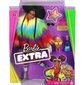 Barbie nukk Extra Rainbow Coat, aksessuaaridega цена и информация | Tüdrukute mänguasjad | kaup24.ee