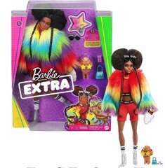 Barbie nukk Extra Rainbow Coat, aksessuaaridega цена и информация | Игрушки для девочек | kaup24.ee