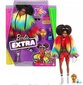 Barbie nukk Extra Rainbow Coat, aksessuaaridega цена и информация | Tüdrukute mänguasjad | kaup24.ee