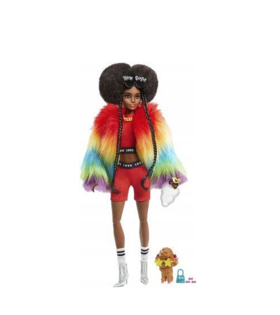 Barbie nukk Extra Rainbow Coat, aksessuaaridega цена и информация | Tüdrukute mänguasjad | kaup24.ee