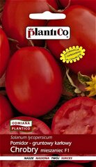 Tomat Chrobry F1 hind ja info | Köögivilja-, marjaseemned | kaup24.ee
