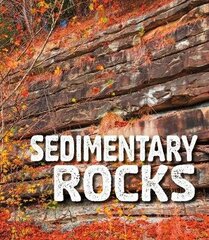 Sedimentary Rocks hind ja info | Noortekirjandus | kaup24.ee