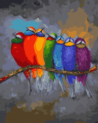 Maalimine numbrite järgi Vikerkaarevärvilised papagoid, 40x50 cm hind ja info | Maalid numbri järgi | kaup24.ee