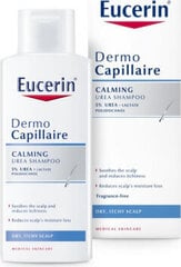 Очищающий шампунь Eucerin Dermocapillaire  (250 ml) цена и информация | Шампуни | kaup24.ee