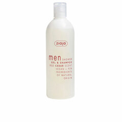 Šampoon ja dušigeel 2-in-1 meestele Ziaja, 400 ml hind ja info | Šampoonid | kaup24.ee