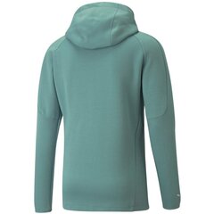 Meeste dressipluus Puma 65738334, roheline цена и информация | Мужские толстовки | kaup24.ee