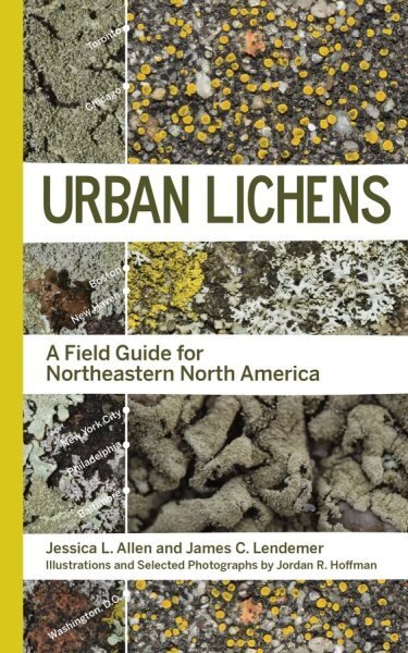 Urban Lichens: A Field Guide for Northeastern North America цена и информация | Tervislik eluviis ja toitumine | kaup24.ee