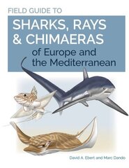 Field Guide to Sharks, Rays & Chimaeras of Europe and the Mediterranean hind ja info | Majandusalased raamatud | kaup24.ee