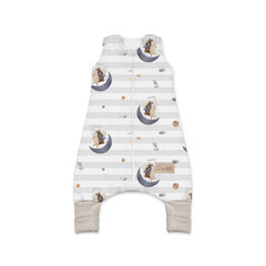 Спальный мешок для малышей с местом для ног Albero Mio, CP3 Moon hedgehog, S цена и информация | Детские подушки, конверты, спальники | kaup24.ee