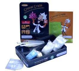 Teaduslik komplekt Purple Cow LAB Crystal Craze, 542 цена и информация | Развивающие игрушки | kaup24.ee