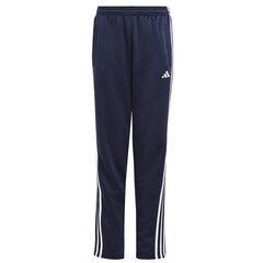 Poiste püksid Adidas TR-ES Pant Jr. HY1099, sinine hind ja info | Poiste püksid | kaup24.ee
