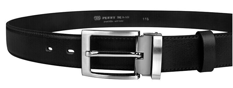 Vöö meestele Penny Belts цена и информация | Meeste vööd | kaup24.ee