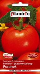 Помидоры низкие Poranek, 1 г цена и информация | Семена овощей, ягод | kaup24.ee
