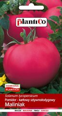 Помидоры низкие Maliniak, 0.5 г цена и информация | Семена овощей, ягод | kaup24.ee
