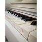 Digitaalne klaver V-Tone BL 8808, valge hind ja info | Klahvpillid | kaup24.ee