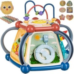 Laste mänguasi – sorteerija цена и информация | Игрушки для малышей | kaup24.ee