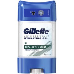 Антиперспирант-дезодорант стик для мужчин Gillette Eucalyptus, 70 мл цена и информация | Дезодоранты | kaup24.ee