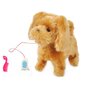 Interaktiivne koer цена и информация | Tüdrukute mänguasjad | kaup24.ee