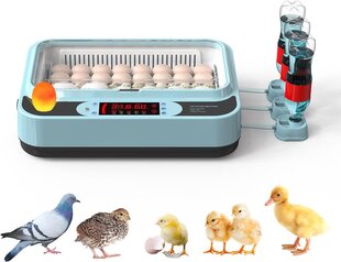 Инкубатор для яиц с автоматическим контролем температуры и влажности OUYOLAD, 24-64 яйца цена и информация | Товары для сельскохозяйственных животных | kaup24.ee
