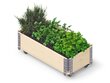 Ratastega lillekast Herbs Box, 800 x 400 x 195 mm hind ja info | Kasvuhooned | kaup24.ee