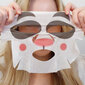 Kangasmask STAY Well Vegan Animal Mask PANDA 20 g цена и информация | Näomaskid, silmamaskid | kaup24.ee