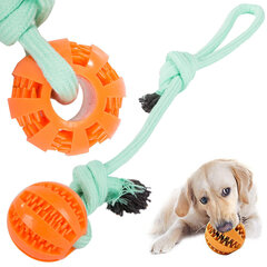 Mänguasi koertele nööri ja pallidega hind ja info | Mänguasjad koertele | kaup24.ee