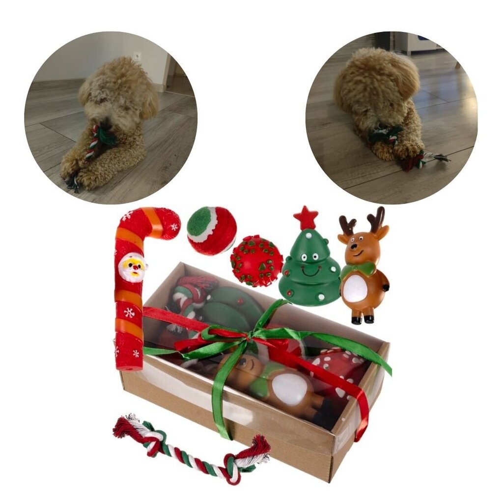 Jõulukinkekomplekt koertele StoreXO hind ja info | Mänguasjad koertele | kaup24.ee