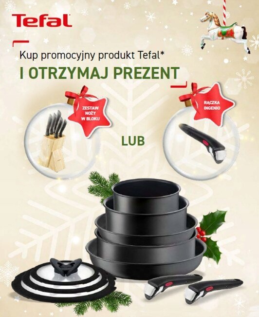 Pottide ja pannide komplekt Tefal Ingenio Easy Cook, 13 tk цена и информация | Potid ja kiirkeedupotid | kaup24.ee