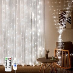 Jõulutuled 300 LED, 3x3 m цена и информация | Гирлянды | kaup24.ee