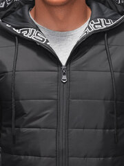 Куртка мужская межсезонная С611 - темно-серая 123540-7 цена и информация | Мужские куртки | kaup24.ee