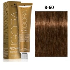 Постоянная краска Igora Royal Absolutes Schwarzkopf 8-60 (60 ml) цена и информация | Краска для волос | kaup24.ee