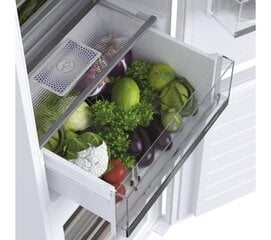 Haier HBW5519ECM цена и информация | Холодильники | kaup24.ee