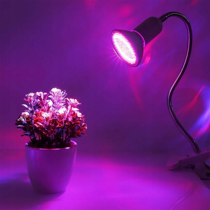 Lamp taimedele punane-sinine 200 LED 20W hind ja info | Nutipotid ja taimelambid | kaup24.ee