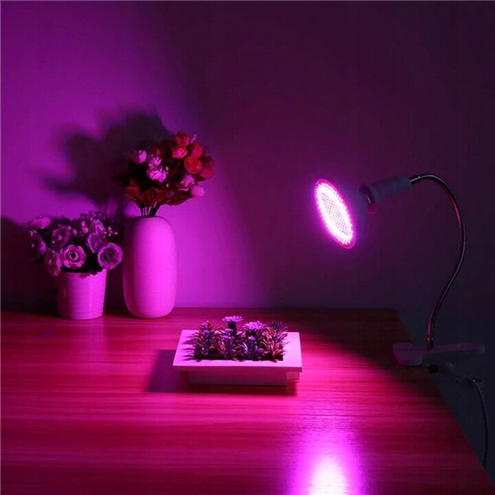 Lamp taimedele punane-sinine 200 LED 20W hind ja info | Nutipotid ja taimelambid | kaup24.ee