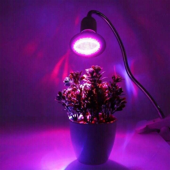 Lamp taimedele punane-sinine 200 LED 20W hind ja info | Nutipotid ja taimelambid | kaup24.ee