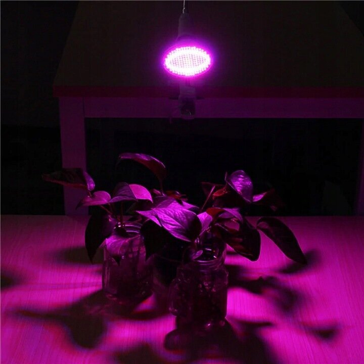 Lamp taimedele punane-sinine 200 LED 20W hind ja info | Nutipotid ja taimelambid | kaup24.ee