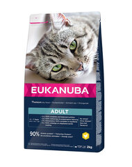 Eukanuba Cat Adult All Breeds Top Condition täiskasvanud kassidele kana ja maksaga, 2 kg hind ja info | Kuivtoit kassidele | kaup24.ee