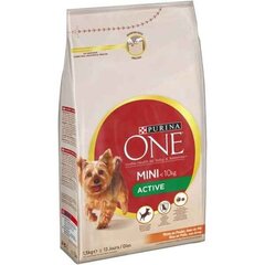 Kuivtoit kassidele Purina Active One, 800 g цена и информация | Сухой корм для собак | kaup24.ee