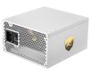 Sharkoon Rebel P30 Gold White цена и информация | Toiteplokid (PSU) | kaup24.ee