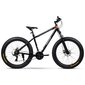 Jalgratas Swoop Fatbike 26, must hind ja info | Jalgrattad | kaup24.ee