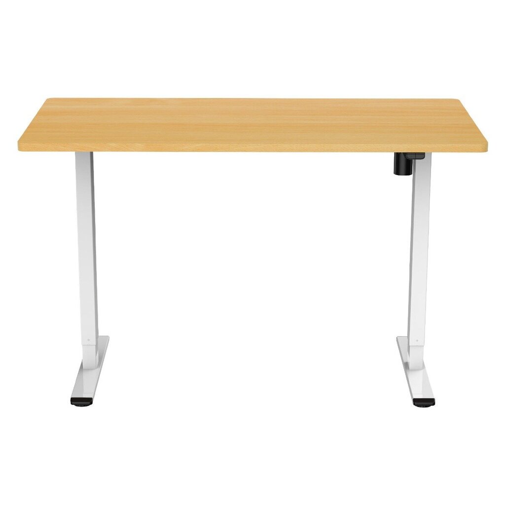 Reguleeritava kõrgusega laud Lykke M100, 60x120 cm, pruun/valge цена и информация | Arvutilauad, kirjutuslauad | kaup24.ee