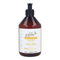 Šampoon Repair Pure Green hind ja info | Šampoonid | kaup24.ee