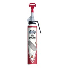 Hermeetik MPM Red Instant Gasket 200ml, 300C, PP200R цена и информация | MPM Автотовары | kaup24.ee