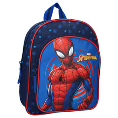 Laste seljakott SpiderMan цена и информация | Школьные рюкзаки, спортивные сумки | kaup24.ee