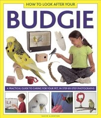 How to Look After Your Budgie цена и информация | Книги для подростков и молодежи | kaup24.ee