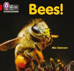 Bees!: Band 02b/Red B цена и информация | Книги для подростков и молодежи | kaup24.ee