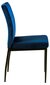 2 tooli komplekt Alm, sinine hind ja info | Söögitoolid, baaritoolid | kaup24.ee