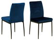 2 tooli komplekt Alm, sinine цена и информация | Söögitoolid, baaritoolid | kaup24.ee