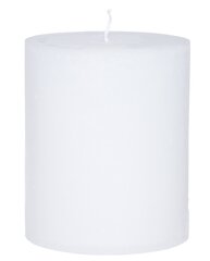 Декоративная свеча Polar, 1 шт. цена и информация | Подсвечники, свечи | kaup24.ee